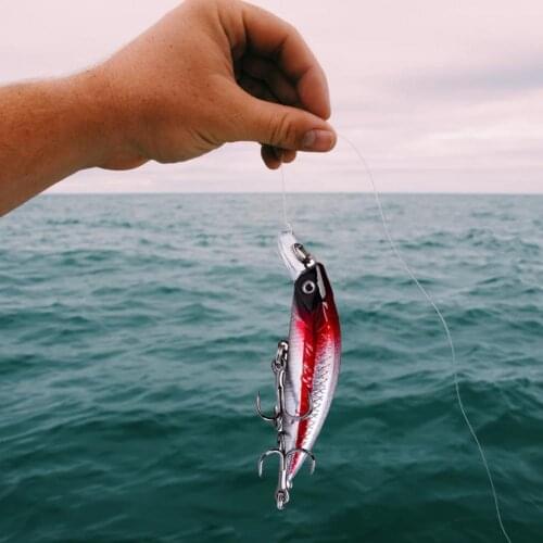 6g 6cm Fishing Lure Bionic Attractive 6 Colors Big Minnow Lure for Night Fishing