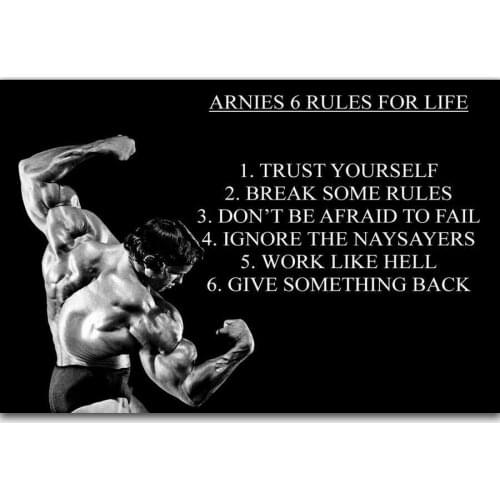 Arnold Schwarzenegger Rules for Success Quote New Silk Fabric Wall Poster Art Decor Sticker Bright