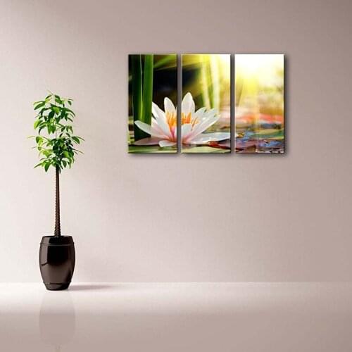 3 Panel Wall Art Beautiful Water Lily Sunshine Painting The Picture Print On Canvas Flower Pictures For Home Decor