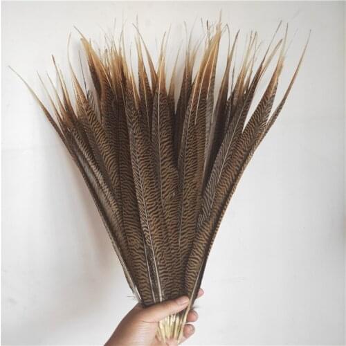 Factory 100pcs/lot high quality Lady Amherst Pheasant Tail feathers 50-55cm/20-22inches DIY Decoration plumes