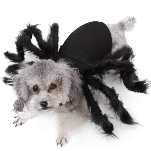 Pet Clothing Dog Cat Imitation Plush Spider Costumes Pet Party Costumes Small Dog Clothes S M Cat Clothes Puppy Cosplay Costume