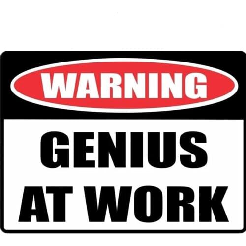 A0588# 13cm/17cm Removable Decal "WARNING Sign GENIUS AT WORK" Car Sticker Waterproof Accessories on Bumper Rear Window Laptop