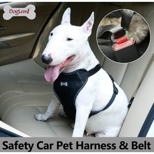 Туристические жилеты DogLemi China At AliExpress