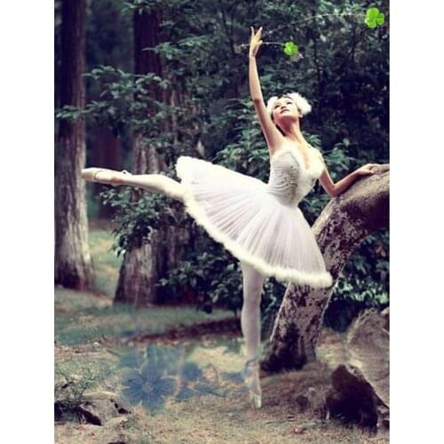 Hard Tulle Dress Costume Performance DressTutu Dresses For Girls,Adult or Children Hard Organdy Platter Skirt Ballet Tutu