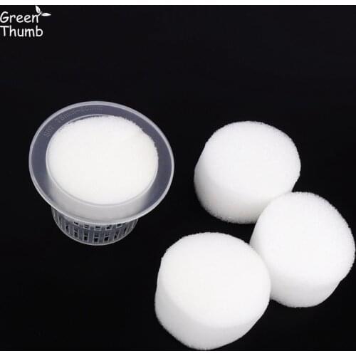 30pcs 60mm by 30mm Hydroponics Plugs Soilless Culture Gardening Supplies Nursery Sponge