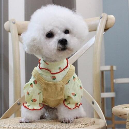 Cat Dog T-shirt Spring Summer Dog Clothes Shirt Apparel Yorkshire Pomeranian Poodle Bichon Schnauzer Pug French Bulldog Clothing