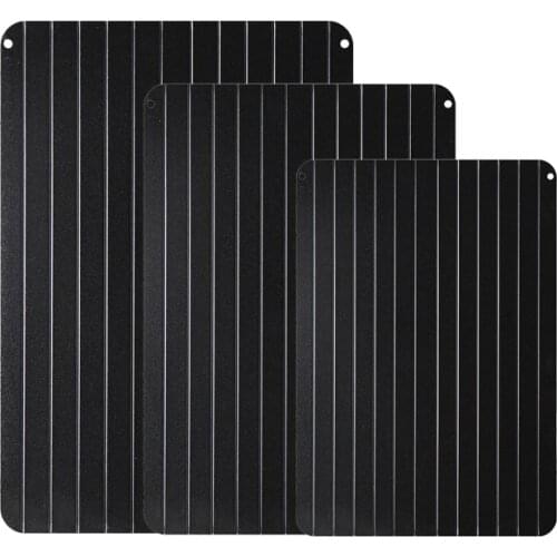 Gavoroon Quick Defrost Trays