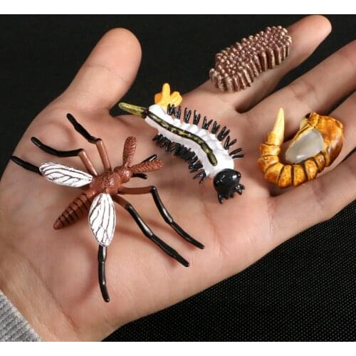 Simulation Life Cycle of A Mosquito Cute Animals Growth Cycle Figurines Model Action Figures Educational Kids Toys