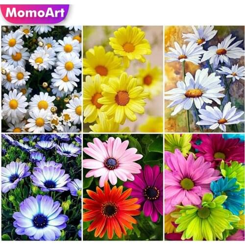 MomoArt 5D Diamond Painting Daisy Picture Rhinestone Diamond Mosaic Flowers Full Square Embroidery Cross Stitch Kit Handicraft