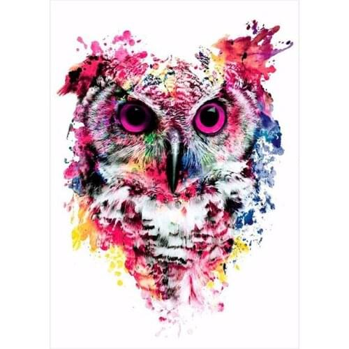 Dpsprue Full 5D DIY Square/Round Drill Diamond Painting "Colorful owl" Diamond Embroidery Cross Stitch 3D Decor Gift DF073