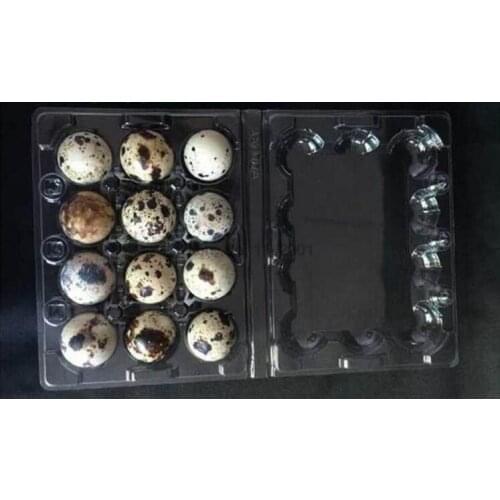 1000 pcs/lot 12 Holes Quail Egg Containers Plastic Egg Boxes D28mm/H39mm