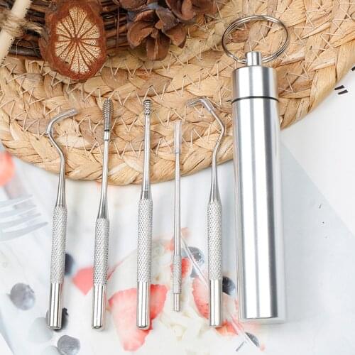 5PCS/Set Stainless Steel Toothpick Set With Portable Toothpick Holder Outdoor Household Travel Seal Storage Container Box Case