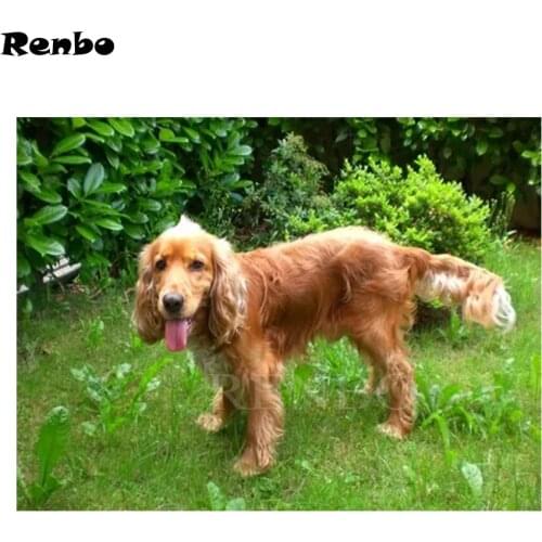 DIY 5D Diamond Painting accessories Cross Stitch Diamond Embroidery British cocker spaniel Full Diamond Mosaic Home Decor B247