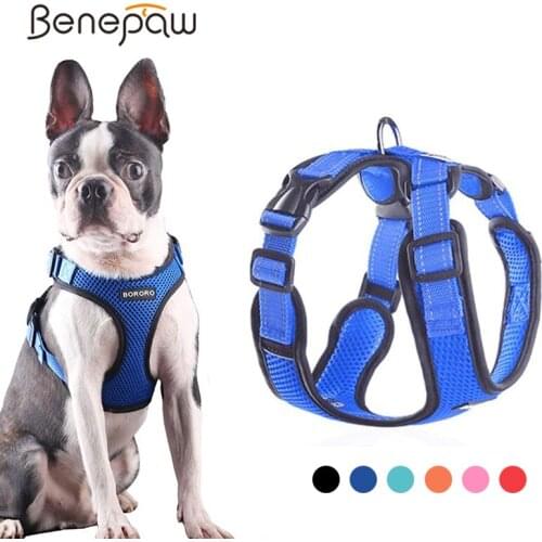 Benepaw Harnesses