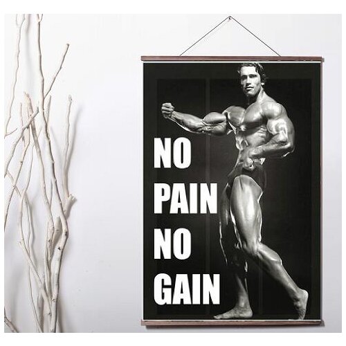 Lot style Arnold Schwarzenegger Bodybuilding Fitness Art Canvas print poster decoration painting with solid wood hanging scroll