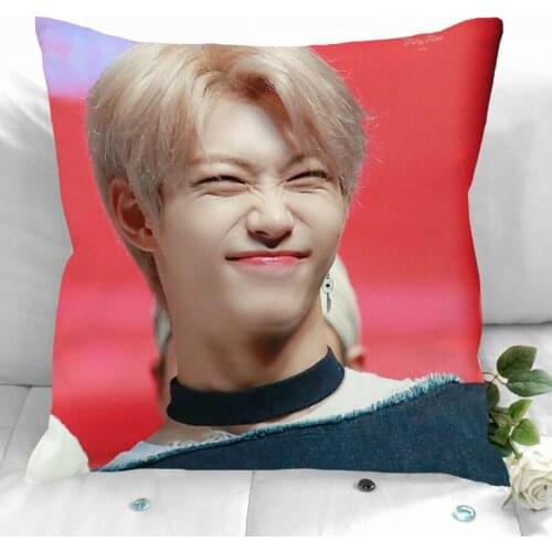 Felix Pillow Cover Bedroom Home Office Decorative Pillowcase Square Zipper Pillow Cases Satin Soft