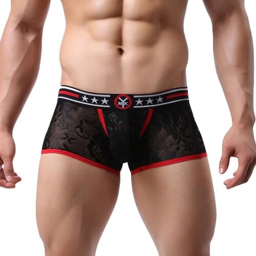 Mens Underwear Boxer Lace Sissy Sexy Gay Underwear Slip Bulge Pouch Transparent Air Low Waist Breathable Soft ropa interior new