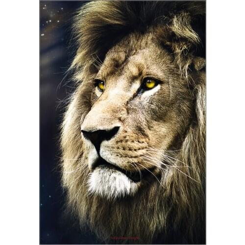 Counted Cross Stitch Kits Needlework Embroidery - Crafts 14 ct Aida DMC Color DIY Arts Handmade Home Decor - Lions Portrait