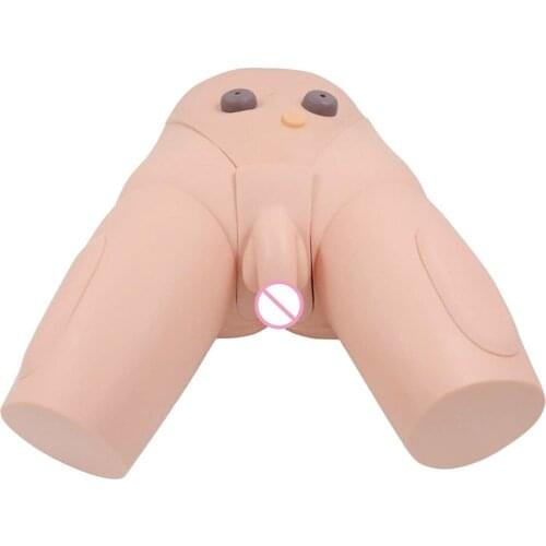 Male Catheterization Model Teaching Model Male Catheterization Human Anatomical Model for Nursing Medical Training