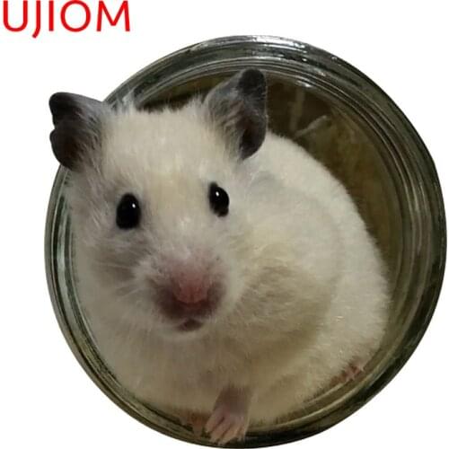 UJIOM Mouse Hole Home Decoration Living Room Decor Wall Stickers Childrens Bedroom Decor Waterproof Wall Decal Mural Art