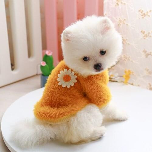 Daisy Velvet Dog Sweatshirt Autumn Winter Pet Clothes for Small Dogs Cats Chihuahua Pug Bulldog Soft Plush Fleece Shirt Tops