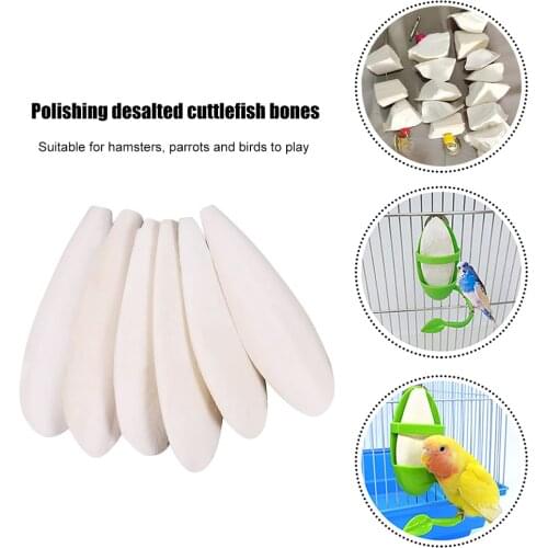 Cuttlefish Bones For BirdsTortois Snails Parrots Turtles Reptiles Pet Chewing Toys Products Living Tortoise Teething Stick 6pcs