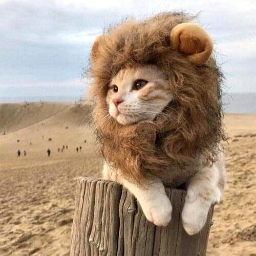 Cute Lion Mane Cat Wig Funny Pet Clothes Dog Cat Cap Hat Fancy Costume Cosplay Dress with Ear Party Interactive Toy Pet Supplies