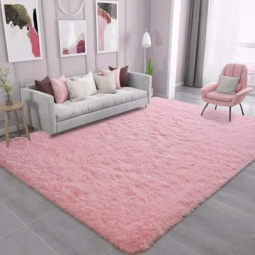 Soft Fluffy Area Rug Fluffy Living Room Carpet Modern Shaggy Area Rug for Bedroom Home Decor Carpet Large Indoor Mat for Girls