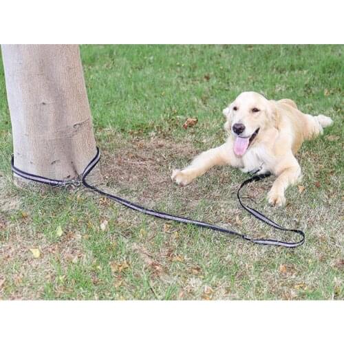 Heavy Duty Dog Leash Traffic Handle Dog Rope Leash for Control Safety Training Pet Outdoor Leash for Medium Large Dogs Walking