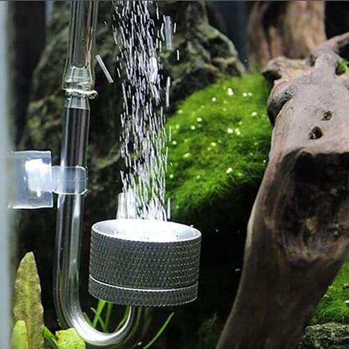 Генераторы CO2 для аквариумов Dreamburgh China At AliExpress