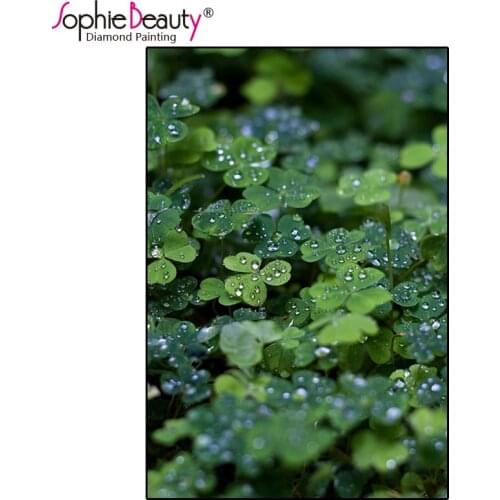 Sophie Beauty Diy Diamond Painting Cross Stitch Dew Lucky Clover Full Handcraft Embroidery handicrafts Mosaic Home Decor Gifts
