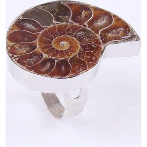 Trendy-beads Silver Plated Natural Ammonite Reliquiae Resizable Finger Ring For Anniversary Jewelry