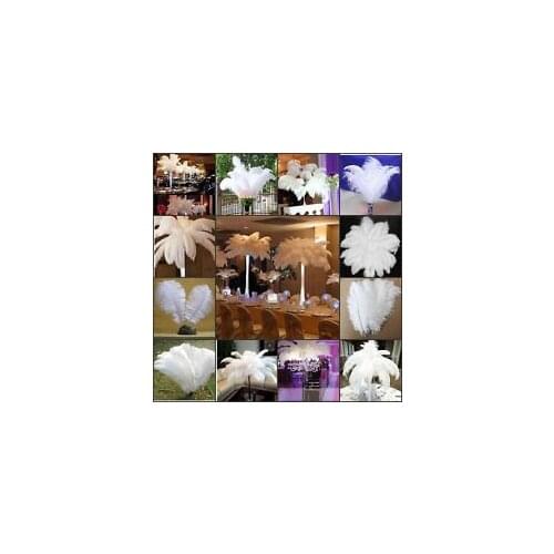 100pcs/lot Natural white Ostrich Feathers 15-75cm Colorful Feather Decoration Wedding Party Plumage Decorative feather