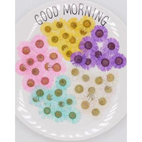 360pcs Pressed Dried Conyza canadensis Filler Flower For Epoxy Resin Jewelry Making Postcard Frame Phone Case Craft DIY