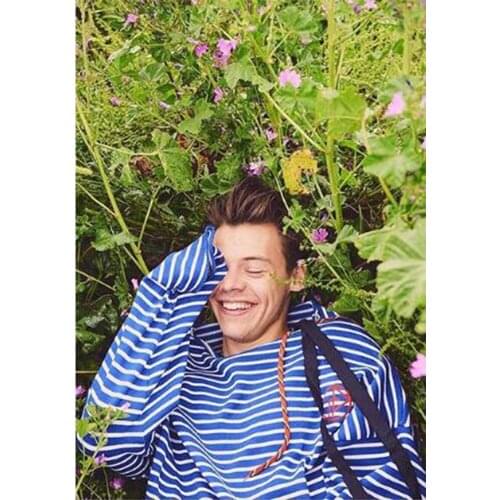 "Harry Styles" Diamond Painting 5D Portrait Poster Wall Art British Singer Diamond Embroidery Cross Stitch Home Decoration CV462