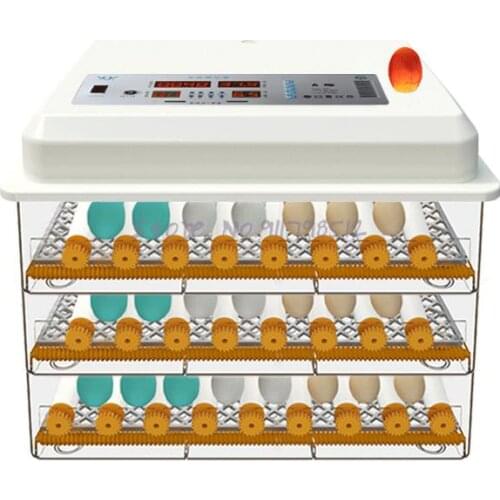 Incubator Small Home Automatic Intelligent Incubator Water Bed Incubator Chicken Duck And Goose Automatic Incubator