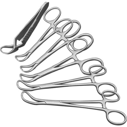 Towel Clamp Fixed Cloth Towel Plus Surgical Bag Cloth Pliers Lifting A Towel Pliers Pointed Collet Surgery Pliers Tool