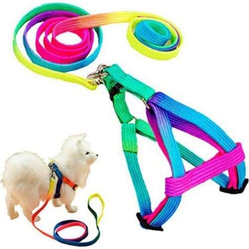 Colorful Harnesses Lead Set High Quality Strong Durable Harness Nylon Cat Dog Harness Leash Set Adjustable Puppy