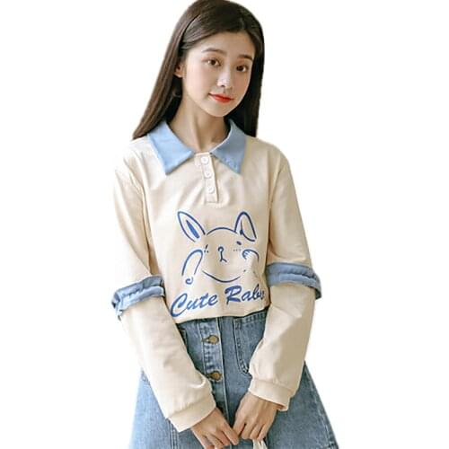 Женские осенние толстовки Chidrizawa China At AliExpress