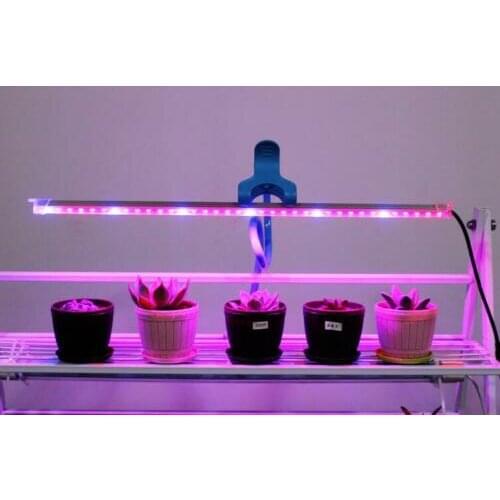 Ledytech LED Strips