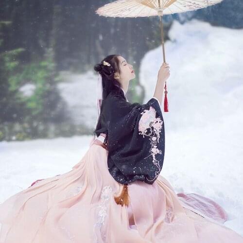 New Hanfu female costume women spring and summer embroidery chest chest skirt costume costume fairy fresh and elegant