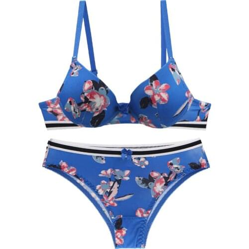 DaiNaFang Brand Everyday Bras Pantes Set Push Up Bow Floral BCDE Cup Underwear For Womens Plus Size Lingerie