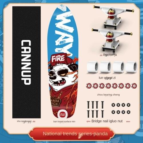 Land Surfboard Beginner Surfboard Exercise Brush Street Big Fish Board Walking Skateboard Longboard Penny Board For Beginner 17