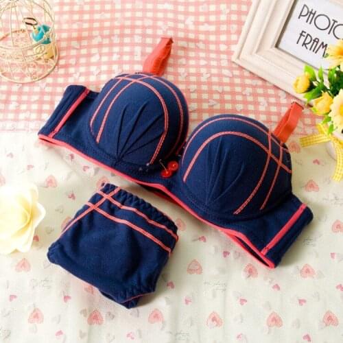 Super Push Up Bra For Small Breast 2015 Sexy Lace Push Up Bra Sets Super Push Up Bra Cup A Women Push Up Bra Lace Brief Sets