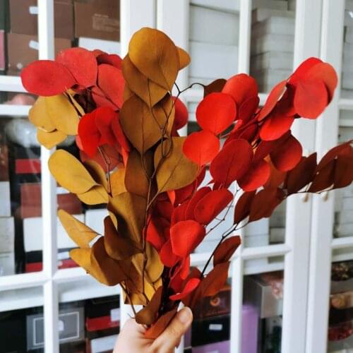 60g/lot,Natural Eternal Preserved colorful Eucalyptus Leaves,Dried Display Flower bunch for Wedding Home Decoration accessories