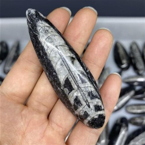 Natural Crystal Sinoceras Chinense Stone Polish Specimen Energy Reiki Healing