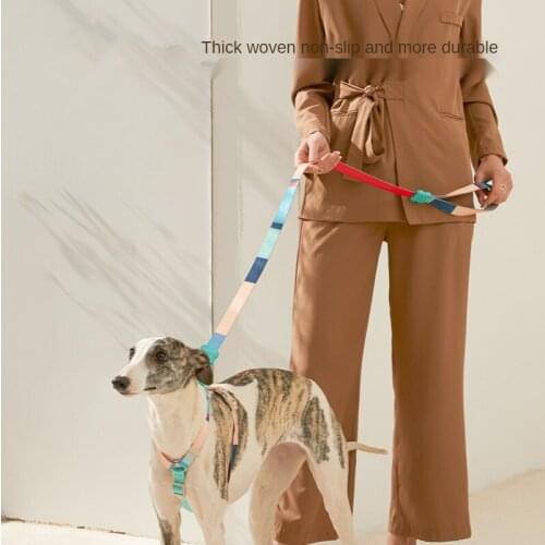 Small-large Dog Leash Thick Weave Strong and Durable Greyhound Golden Retriever Corgi Anti-bite Dog Leads Dog Accessories