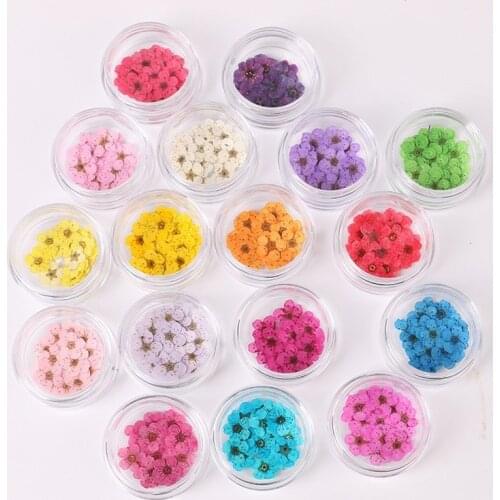 20PCS/BOX Dried Flowers for Nail Art Decorations Handmade Natural Dry Floral for Nails Designs Multipurpose Nail Decor Supplies