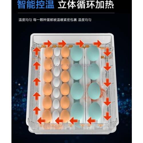 Automatic Small Household Incubatorintelligent Incubatormini Incubatorincubatorchicks, Ducks, Geese And Pigeons