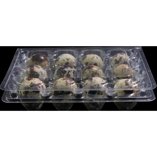12 Holes Quail Egg Containers Plastic Egg Boxes D28mm/H39mm 1000pcs/lot SN314